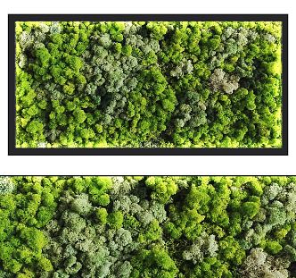 Modern Plant Wall Moss Plant Wall 3d model