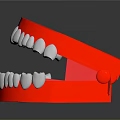 Dental Jaw Model With Red Base And White Artificial Teeth Structure
