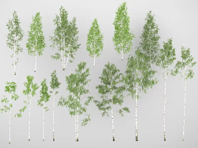 Various Types Of Arbor Trees Displaying Different Growth Forms And Green Foliage 3d model