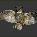 Realistic Owl With Spread Wings And Brown White Feathers In Flying Pose On Dark Background