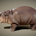 Modern hippopotamus pygmy hippo 3d model