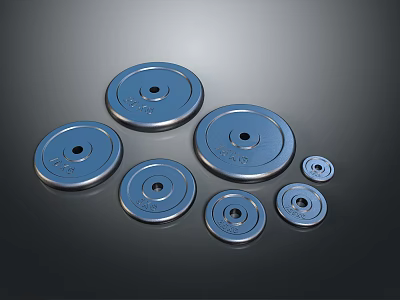 Metal Weight Plates Set in Various Sizes for Fitness Equipment 3d model