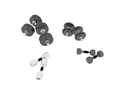 Various Black and Silver Fitness Dumbbells as Essential Gym Training Equipment 3d model