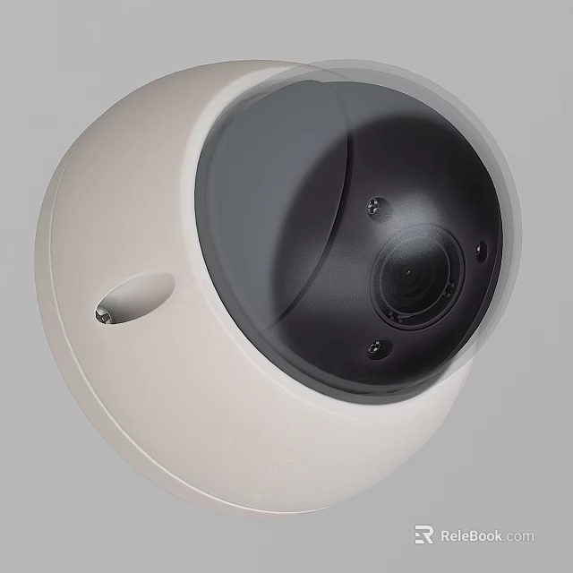 White Dome Surveillance Camera With Black Lens And Indoor Outdoor Use 3d model 