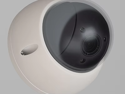White Dome Surveillance Camera With Black Lens And Indoor Outdoor Use 3d model
