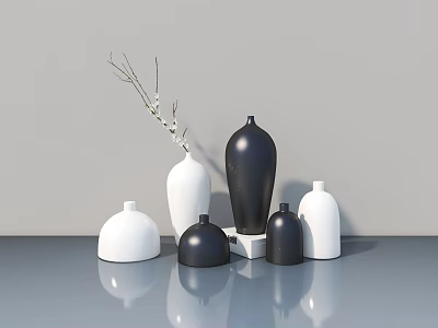 Black And White Decorative Vases With Branches On Smooth Reflective Surface 3d model