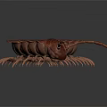 Realistic Red Centipede With Many Legs On Dark Background Detailed View