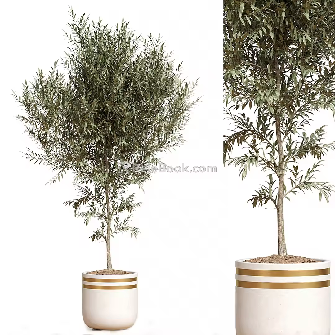 Plant Collection 3d model