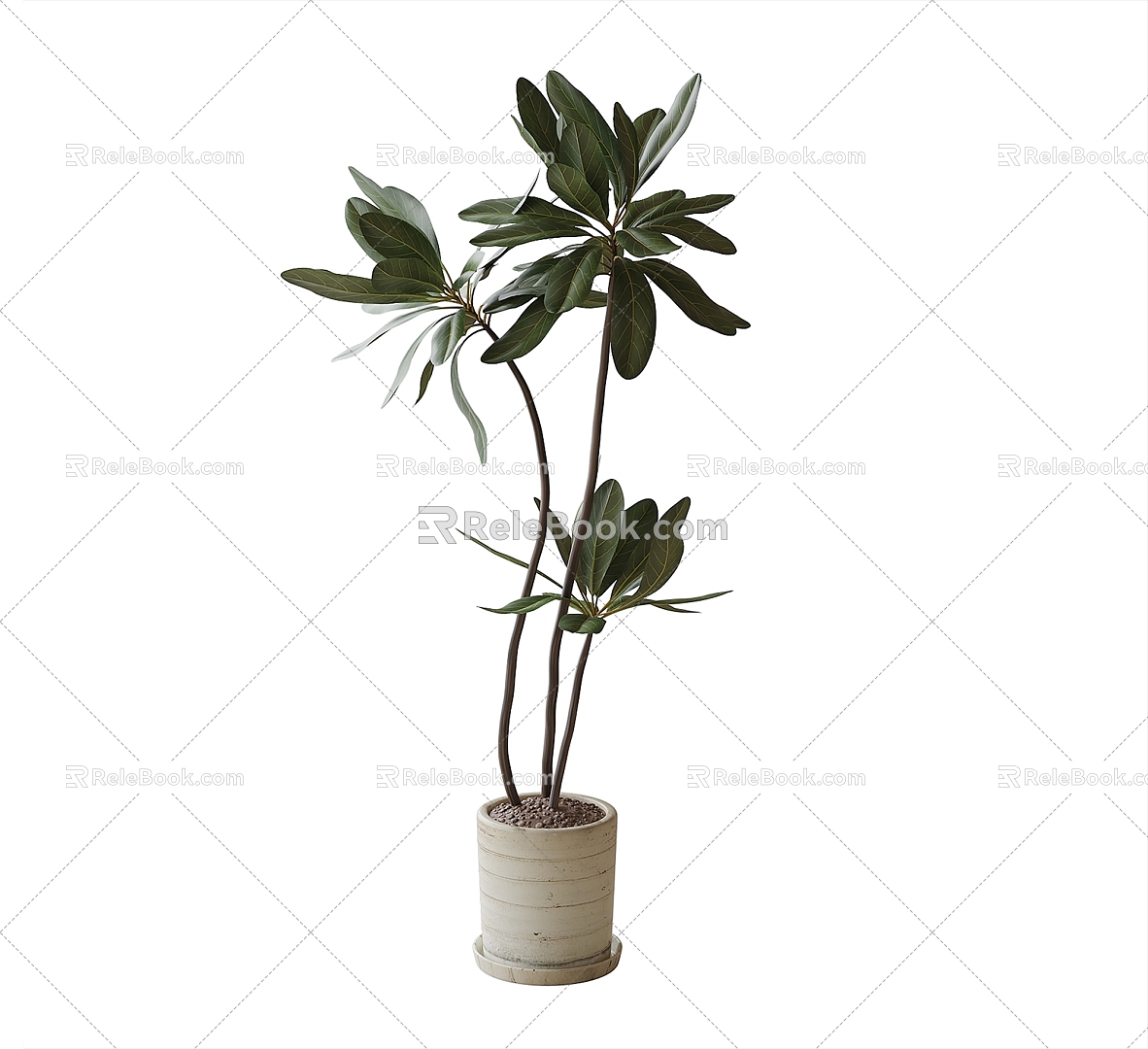 Modern Bonsai Bonsai Green Plant 3d model