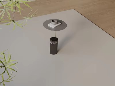 Black Metal Side Table With Round Top And Green Plant On Light Carpet Wooden Floor 3d model