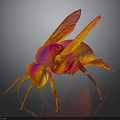 Vibrant Red and Orange Insect with Transparent Wings Shiny Body on Dark Background