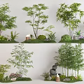Diverse Plant Combinations With Various Trees Shrubs Flowers And Decorative Elements 3d model
