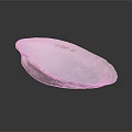 Marine Animal Clam Shell With Iridescent Blue Green Smooth Surface