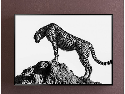 Modern animal painting gray study animal leopard decorative painting model