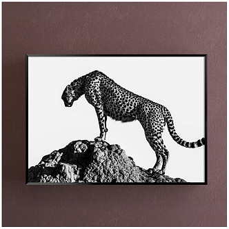 Modern animal painting gray study animal leopard decorative painting 3d model