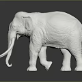 White Elephant Sculpture With Long Ivory Smooth Surface And Dark Background