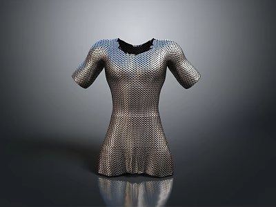 Daily Necessities Metal Mesh Garment Featuring Short Sleeves And Full Body Design 3d model