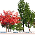 modern tree arbor landscape tree 3d model