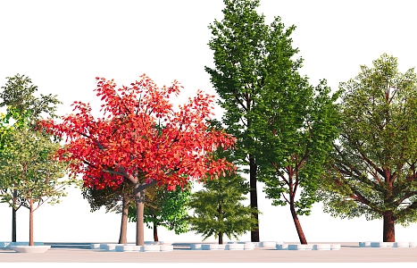 modern tree arbor landscape tree 3d model