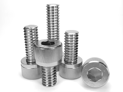 Hardware Tools Stainless Steel Hexagon Socket Bolts with Precision Machined Heads and Various Sizes 3d model