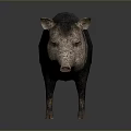 Realistic 3D Rendered Wild Boar Model With Detailed Fur And Standing Pose 3d model