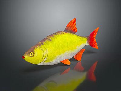 Vibrant Aquatic Animal With Yellow Red Body Orange Fins And Reflection On Dark Surface 3d model