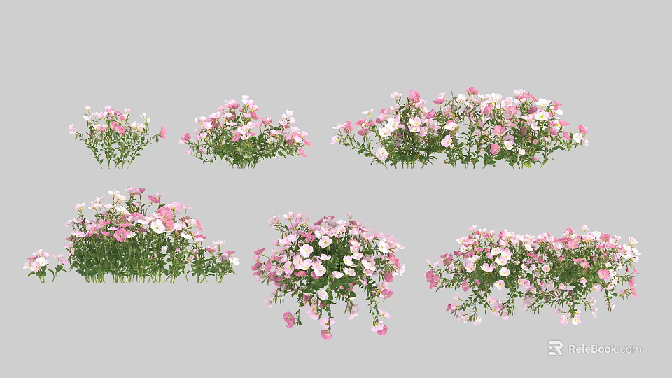 Beautiful Pink And White Flower Plants With Green Leaves For Garden Decor 3d model 