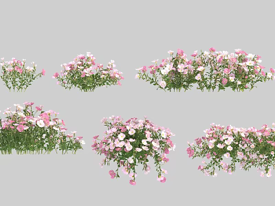 Beautiful Pink And White Flower Plants With Green Leaves For Garden Decor 3d model