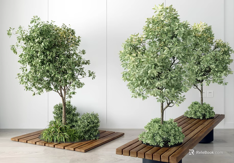 Bonsai Potted Plants On Wooden Platforms Against White Walls With Green Foliage And Various Sizes 3d model 