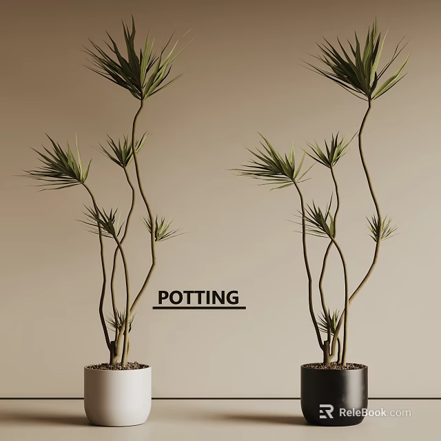 Slender Branch Potted Plants With Green Leaves In White And Black Pots 3d model 