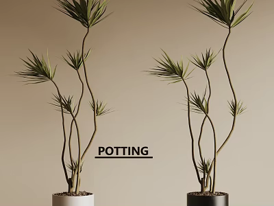 Slender Branch Potted Plants With Green Leaves In White And Black Pots 3d model