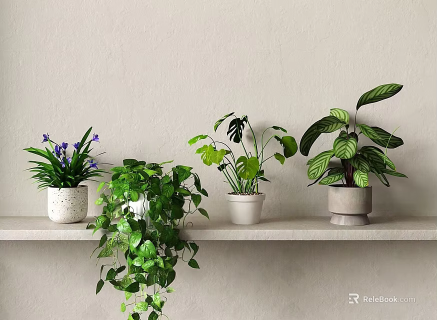 Various Potted Plants On White Shelf With Green Leaves And Purple Flowers 3d model 