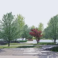 Scenic Park Landscape Featuring Green Trees Red Maple Stone Paths And Benches