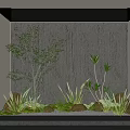 Green Plants in Indoor Scene with Rocks Pebbles and Wooden Wall Design