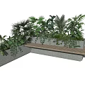 Outdoor Bench In Natural Modern Style With Concrete Wooden Frame And Green Plants Palm Ferns