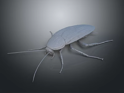 Realistic Detailed 3D Rendered Cockroach Full Body View Isolated On Dark Background 3d model
