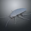 Realistic Detailed 3D Rendered Cockroach Full Body View Isolated On Dark Background