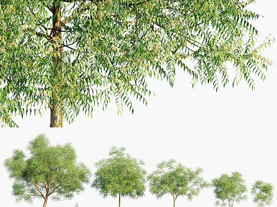 Arbor Showcasing Lush Green Foliage And Sturdy Trunk In Various Growth Sizes For Natural Scenery 3d model
