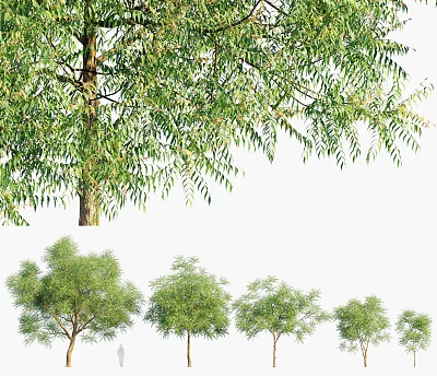 Arbor Showcasing Lush Green Foliage And Sturdy Trunk In Various Growth Sizes For Natural Scenery 3d model