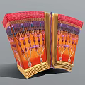3D Anatomical Model of Biological Tissue Cross-Section with Colorful Layers and Microscopic Structures