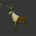 Brown And White Spotted Deer With Large Antlers Standing On Gray Background