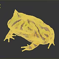 Frog Poison Frog Game Frog Reptile Cold Blooded Animal Reptile 3d model