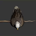 Majestic Bald Eagle Perched On Wooden Branch With White Head And Yellow Talons