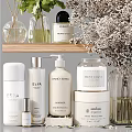 Stylish Bathroom Accessories Setup With Green Plants And Toiletry Bottles