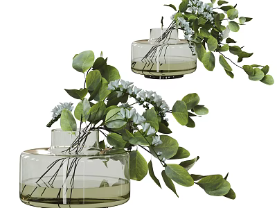 Clear Glass Vases With Green Leaves And White Small Flowers Decoration 3d model