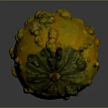 Fresh Yellow Green Bumpy Pumpkin For Healthy Cooking And Nutritious Recipes