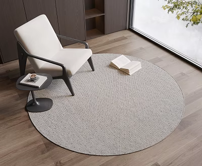 Round Area Rug In Modern Living Room With Armchair Side Table 3d model