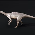 Grey Dinosaur 3D Model With Long Neck And Four Legs On Black Background 3d model