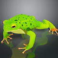 Green Frog With Black Spots Yellow Eyes And Orange Toes On Reflective Surface