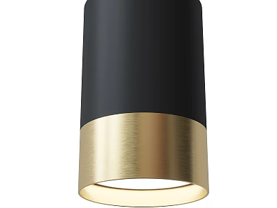Modern Black and Gold Metal Downlight Spotlight with Cylindrical Design for Home Ceiling Lighting 3d model